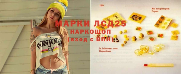 дживик Липки
