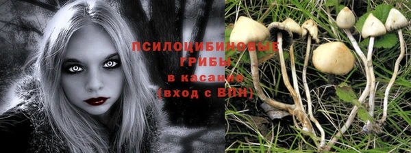 стафф Лихославль