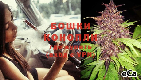 дживик Липки