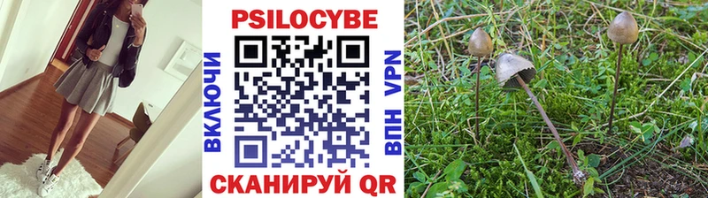 Псилоцибиновые грибы мухоморы  Купить закладки  Ноябрьск 